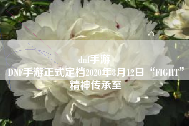 dnf手游 
DNF手游正式定档2020年8月12日“FIGHT”精神传承至