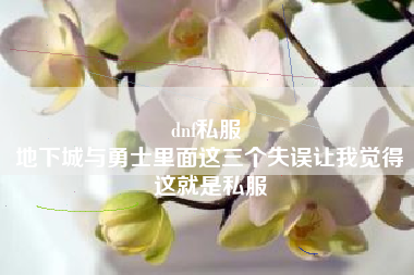 dnf私服 
地下城与勇士里面这三个失误让我觉得这就是私服