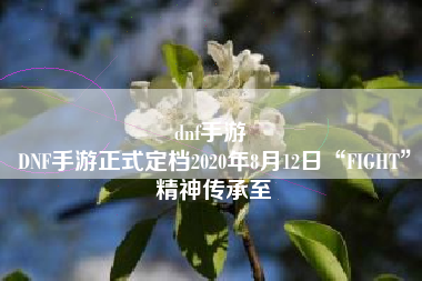 dnf手游 
DNF手游正式定档2020年8月12日“FIGHT”精神传承至