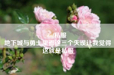 dnf私服 
地下城与勇士里面这三个失误让我觉得这就是私服