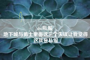dnf私服 
地下城与勇士里面这三个失误让我觉得这就是私服
