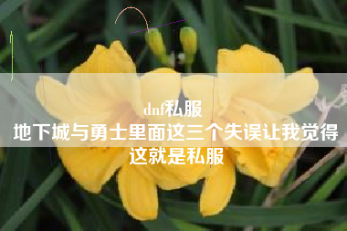 dnf私服 
地下城与勇士里面这三个失误让我觉得这就是私服