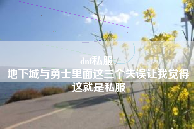 dnf私服 
地下城与勇士里面这三个失误让我觉得这就是私服