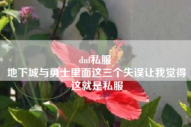 dnf私服 
地下城与勇士里面这三个失误让我觉得这就是私服