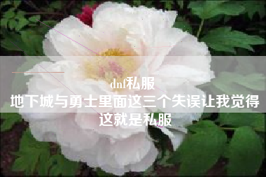 dnf私服 
地下城与勇士里面这三个失误让我觉得这就是私服