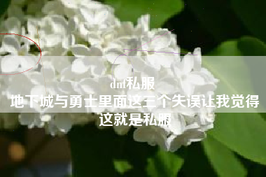 dnf私服 
地下城与勇士里面这三个失误让我觉得这就是私服