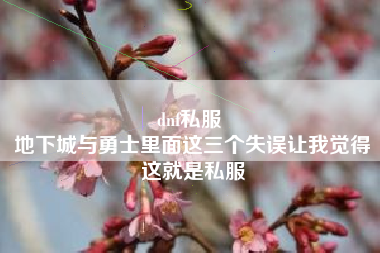 dnf私服 
地下城与勇士里面这三个失误让我觉得这就是私服