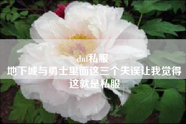 dnf私服 
地下城与勇士里面这三个失误让我觉得这就是私服