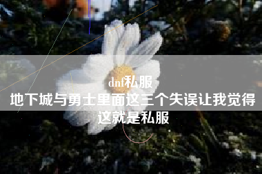 dnf私服 
地下城与勇士里面这三个失误让我觉得这就是私服