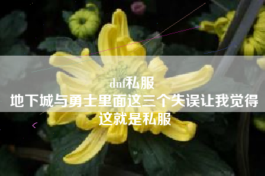 dnf私服 
地下城与勇士里面这三个失误让我觉得这就是私服