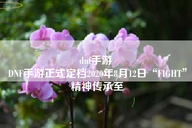 dnf手游 
DNF手游正式定档2020年8月12日“FIGHT”精神传承至
