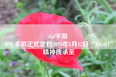 dnf手游 
DNF手游正式定档2020年8月12日“FIGHT”精神传承至