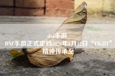 dnf手游 
DNF手游正式定档2020年8月12日“FIGHT”精神传承至