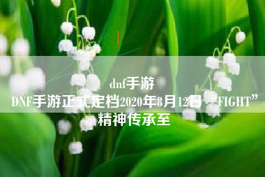 dnf手游 
DNF手游正式定档2020年8月12日“FIGHT”精神传承至