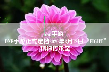 dnf手游 
DNF手游正式定档2020年8月12日“FIGHT”精神传承至