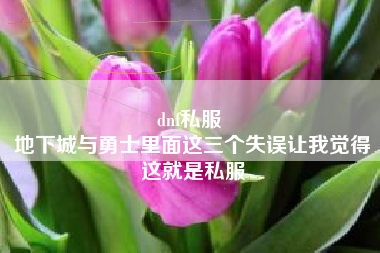 dnf私服 
地下城与勇士里面这三个失误让我觉得这就是私服
