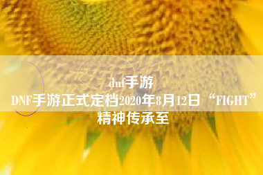 dnf手游 
DNF手游正式定档2020年8月12日“FIGHT”精神传承至