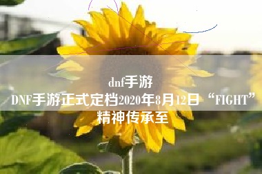 dnf手游 
DNF手游正式定档2020年8月12日“FIGHT”精神传承至