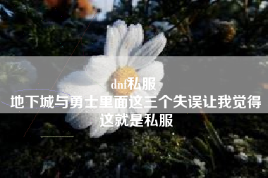 dnf私服 
地下城与勇士里面这三个失误让我觉得这就是私服