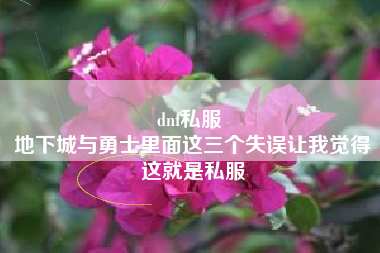dnf私服 
地下城与勇士里面这三个失误让我觉得这就是私服
