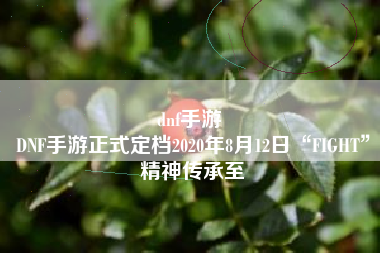 dnf手游 
DNF手游正式定档2020年8月12日“FIGHT”精神传承至