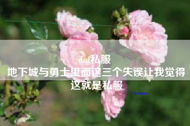 dnf私服 
地下城与勇士里面这三个失误让我觉得这就是私服