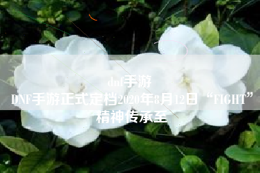 dnf手游 
DNF手游正式定档2020年8月12日“FIGHT”精神传承至